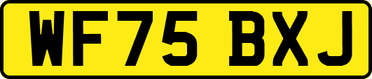 WF75BXJ