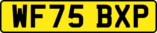 WF75BXP