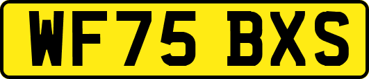WF75BXS