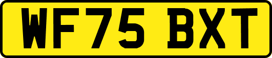 WF75BXT