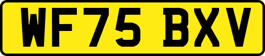 WF75BXV