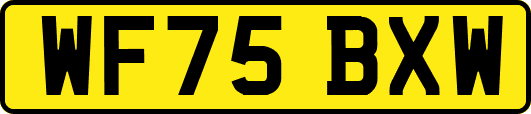 WF75BXW