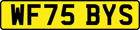 WF75BYS
