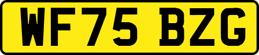 WF75BZG