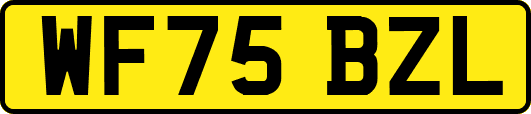 WF75BZL