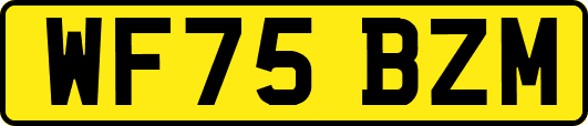 WF75BZM