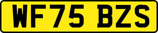 WF75BZS