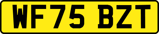 WF75BZT