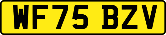 WF75BZV