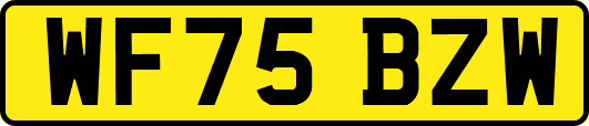 WF75BZW