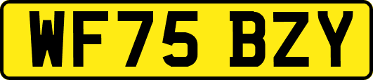 WF75BZY