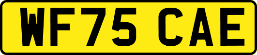 WF75CAE