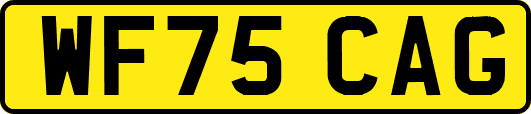 WF75CAG