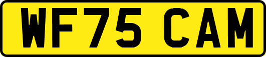 WF75CAM