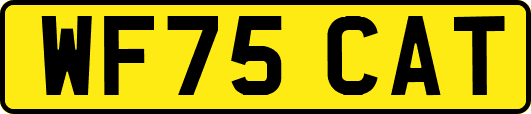 WF75CAT