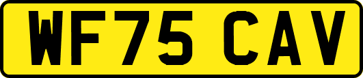 WF75CAV