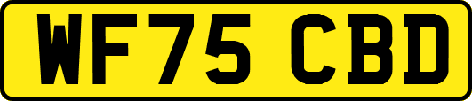 WF75CBD