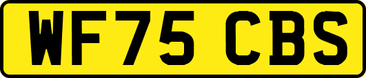 WF75CBS