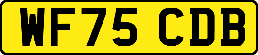WF75CDB