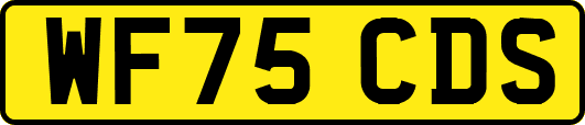 WF75CDS