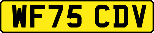 WF75CDV