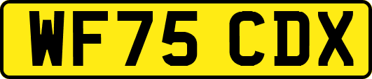 WF75CDX