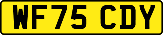 WF75CDY