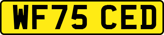 WF75CED