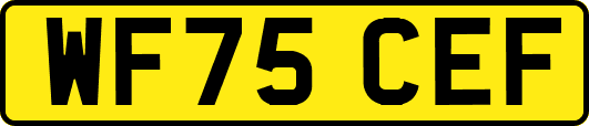 WF75CEF
