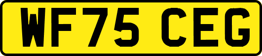 WF75CEG