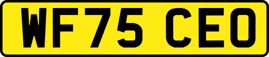 WF75CEO