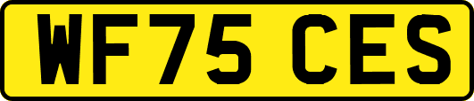 WF75CES