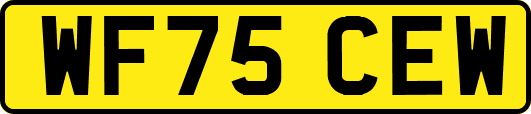 WF75CEW