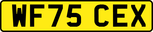 WF75CEX