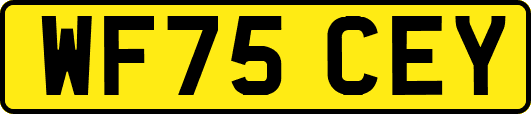 WF75CEY