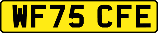 WF75CFE