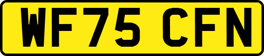 WF75CFN