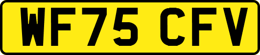 WF75CFV
