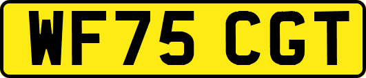WF75CGT