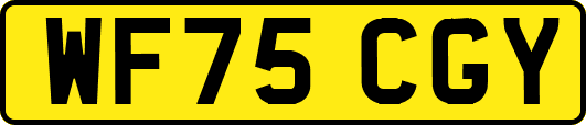 WF75CGY
