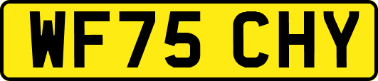 WF75CHY