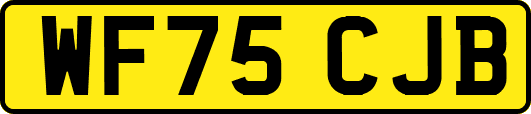 WF75CJB