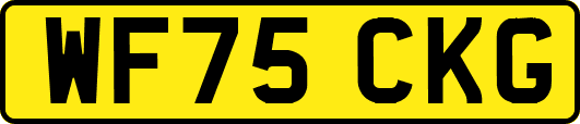 WF75CKG