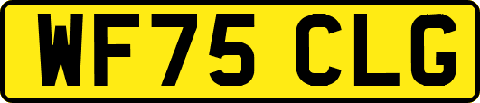 WF75CLG