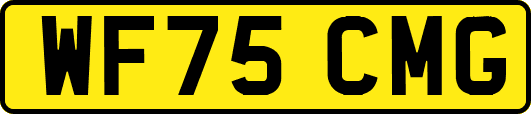 WF75CMG