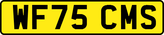 WF75CMS