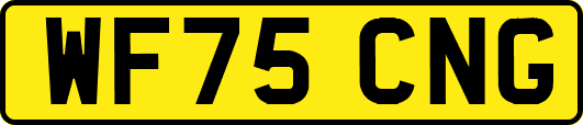 WF75CNG