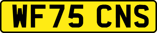 WF75CNS