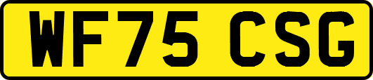 WF75CSG