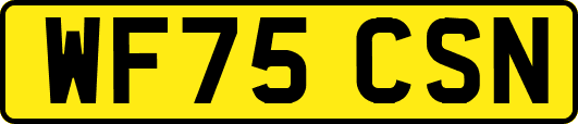 WF75CSN